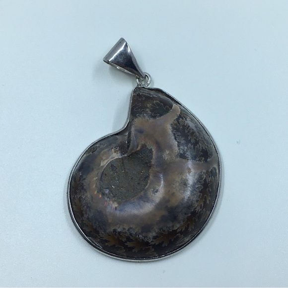 Ammonite Fossil Pendant - Picture 3 of 5